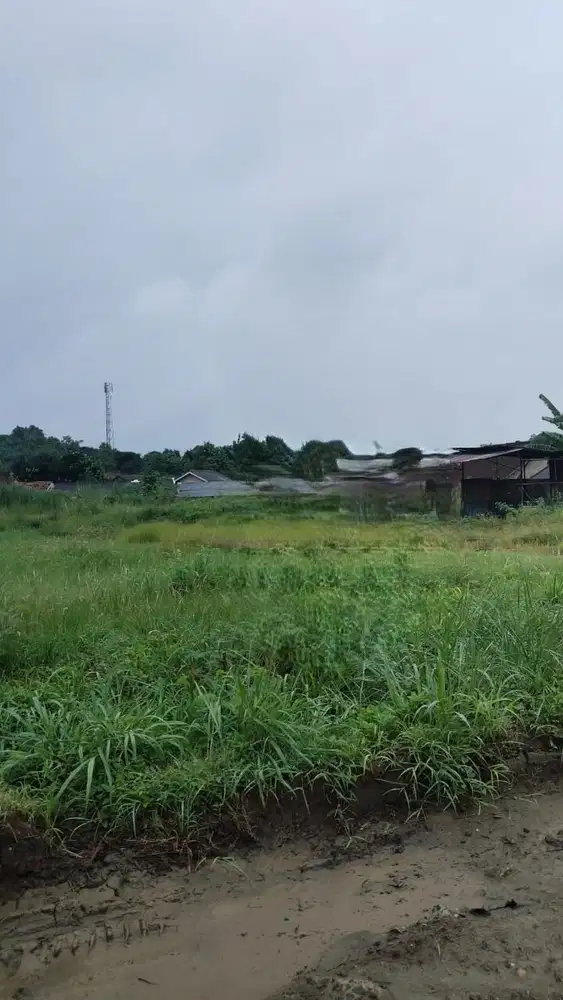 Tanah Luas 3998m Gunung Sindur Bogor Jawa Barat