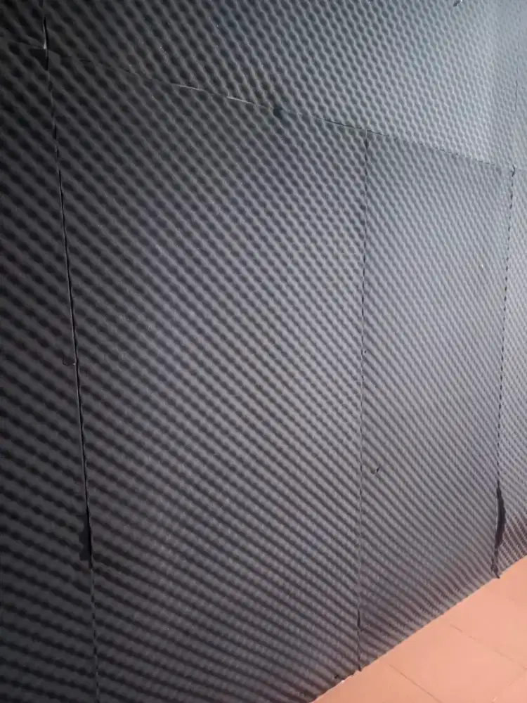 BUSA TELUR PEREDAM SUARA