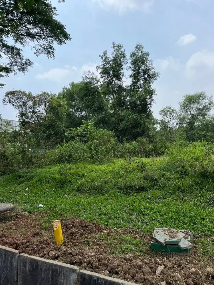 Dijual Cepat Kavling Industri Delta Silicon, Lippo Cikarang!