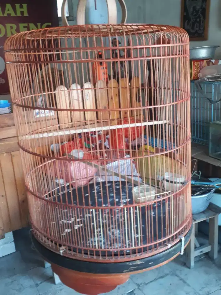 Sangkar burung murai