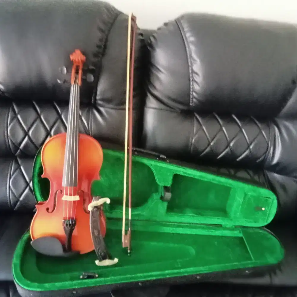 dijual Biola jarang dipakai