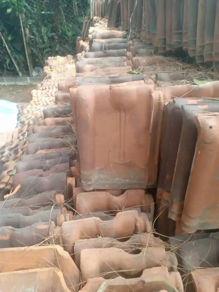 Genteng Prentul model kodok