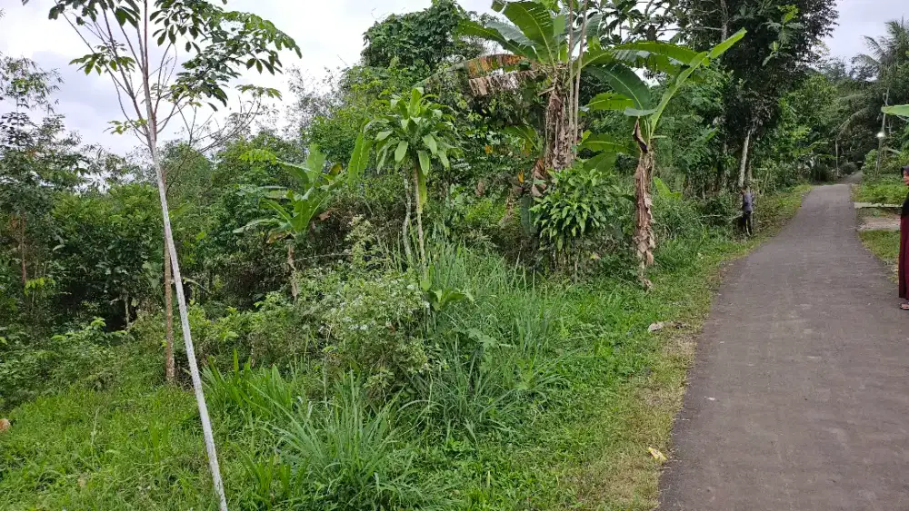 BU JUAL CEPAT , Nego sampe Deal .