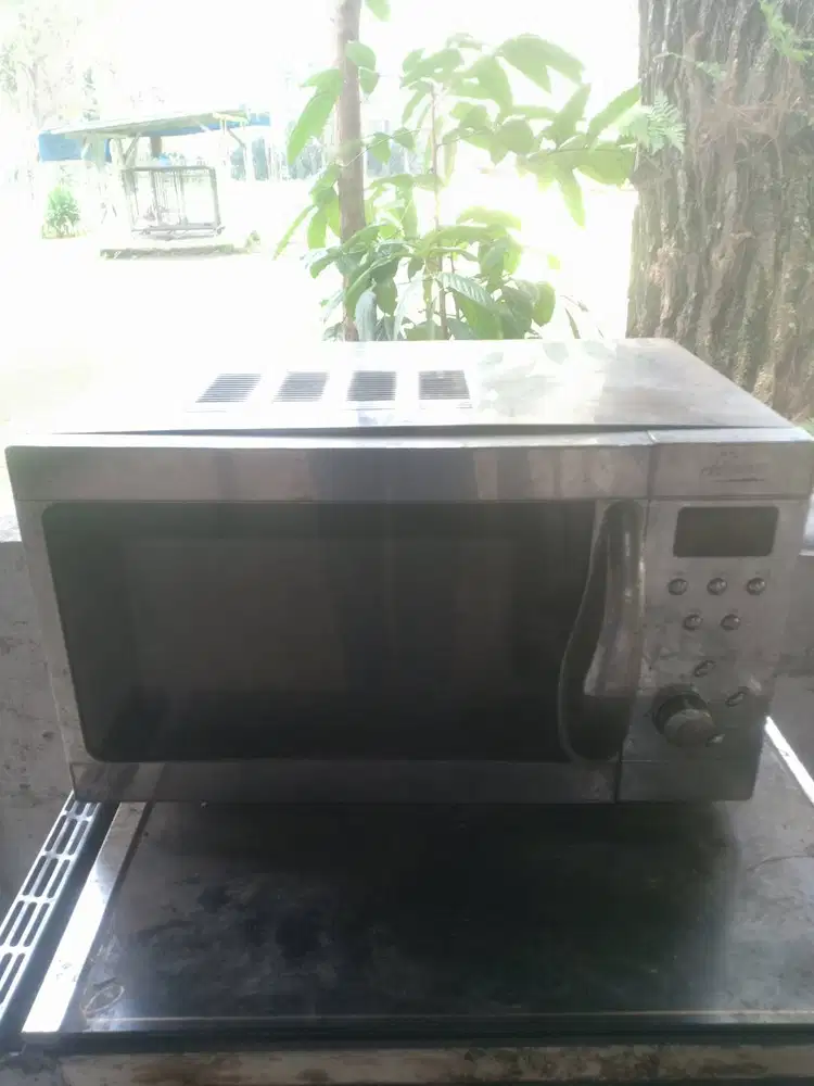 Microwave RUSAK