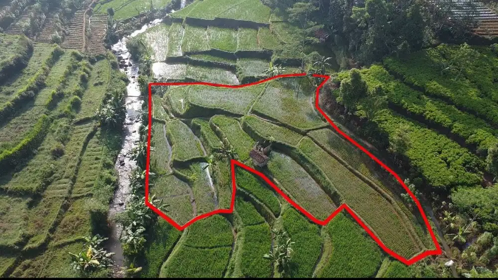 Tanah Sawah Produktif Pinggir Sungai Dijual Murah di Purwakarta
