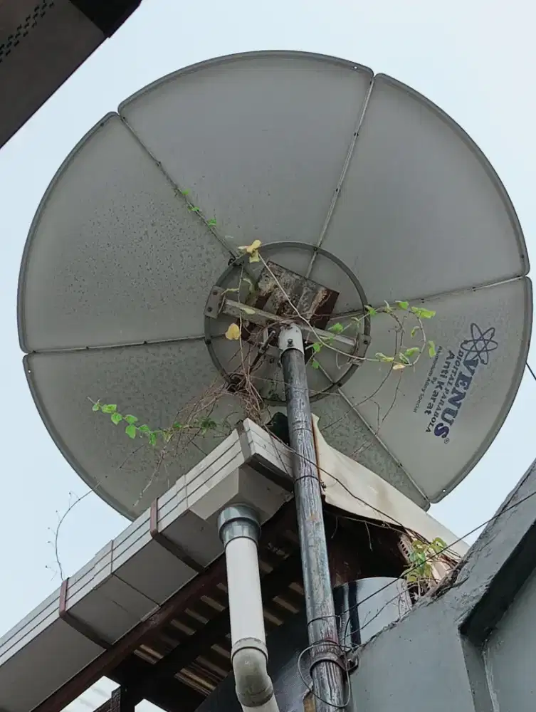 Parabola venus 6 feet