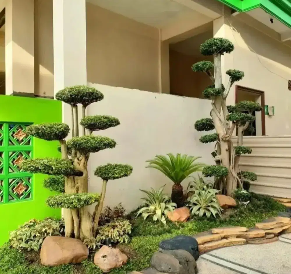 Tukang taman minimalis Medan