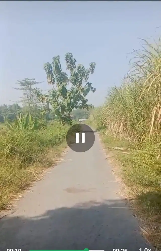 Dijual tanah pertanian dan peternakan nol jalan Ngoro, Jombang