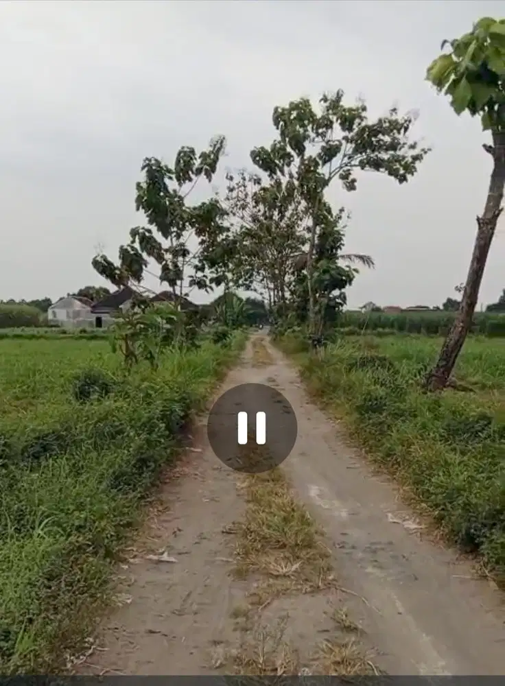 Dijual tanah pertanian sawah luas Ngoro, Jombang