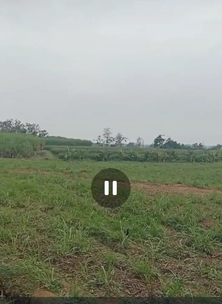 Dijual tanah pertanian subur murah dekat kampung Bareng, Jombang