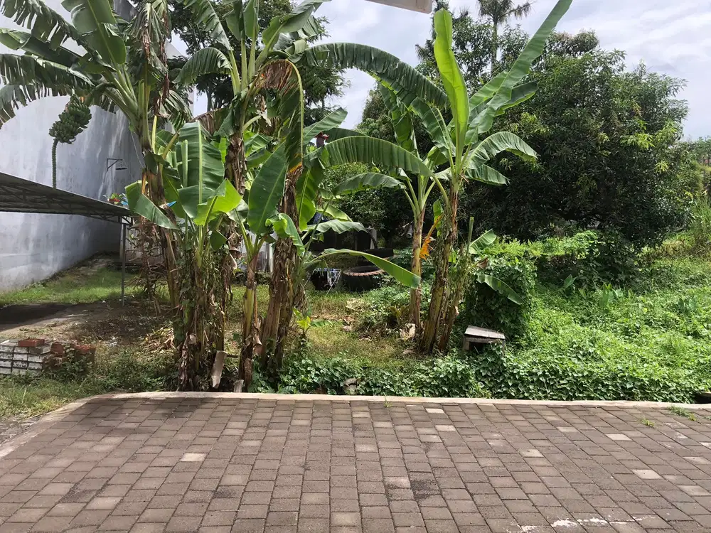 Dijual tanah cocok buat villa canggu