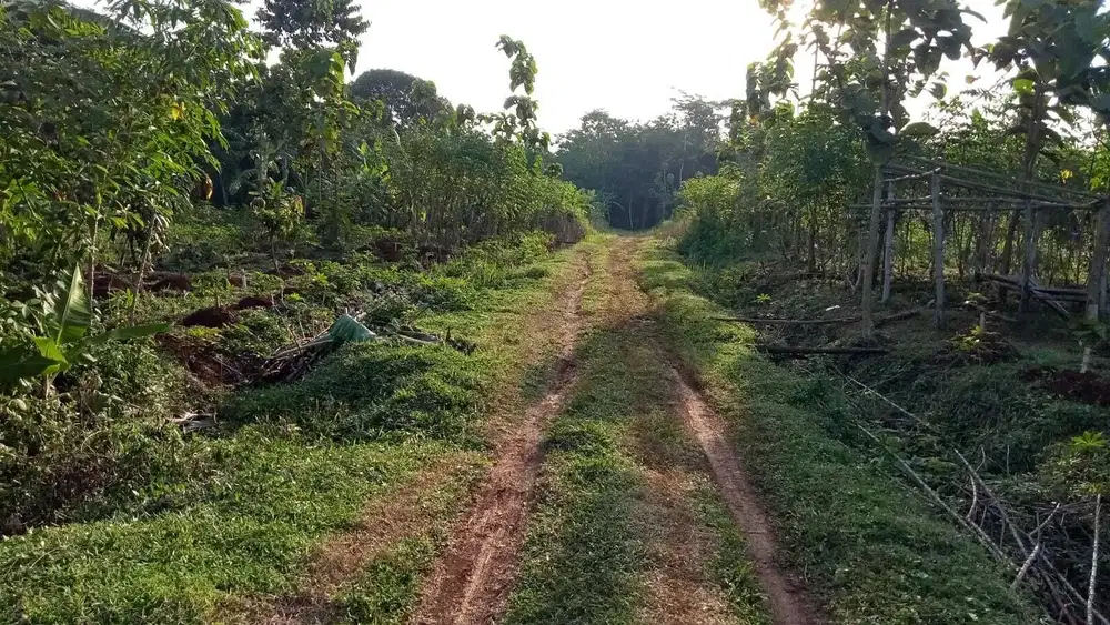 Dijual Cepat Tanah di Daerah Mandirancan Kuningan Dkt RS. Sidawangi