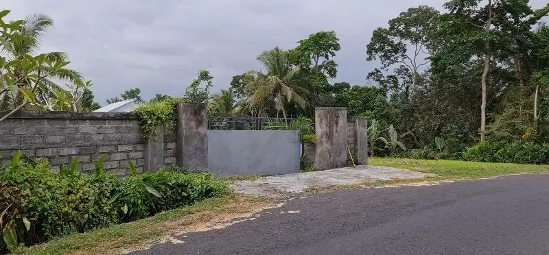 Tanah Los Sungai cocok untuk Villa atau perumahan