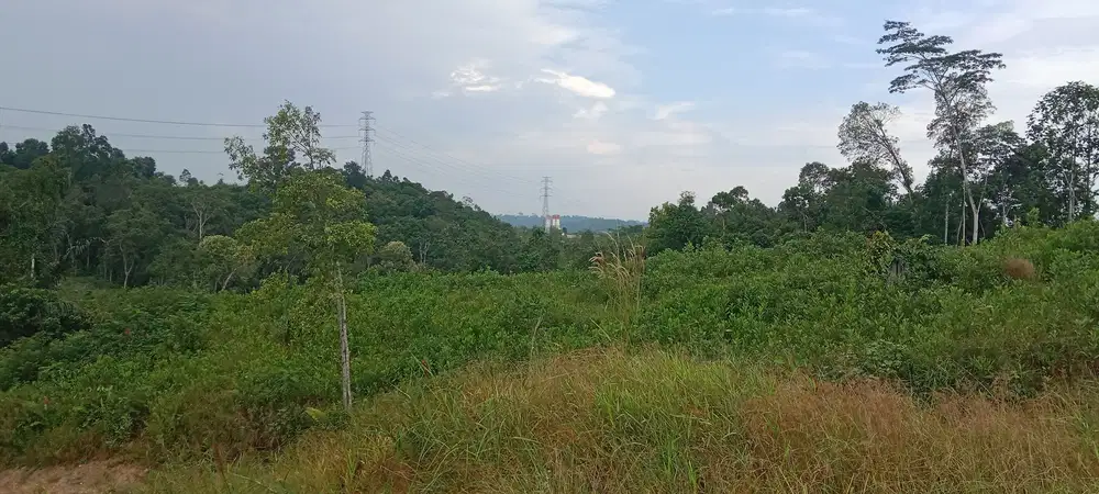 Tanah kariangau - km. 13