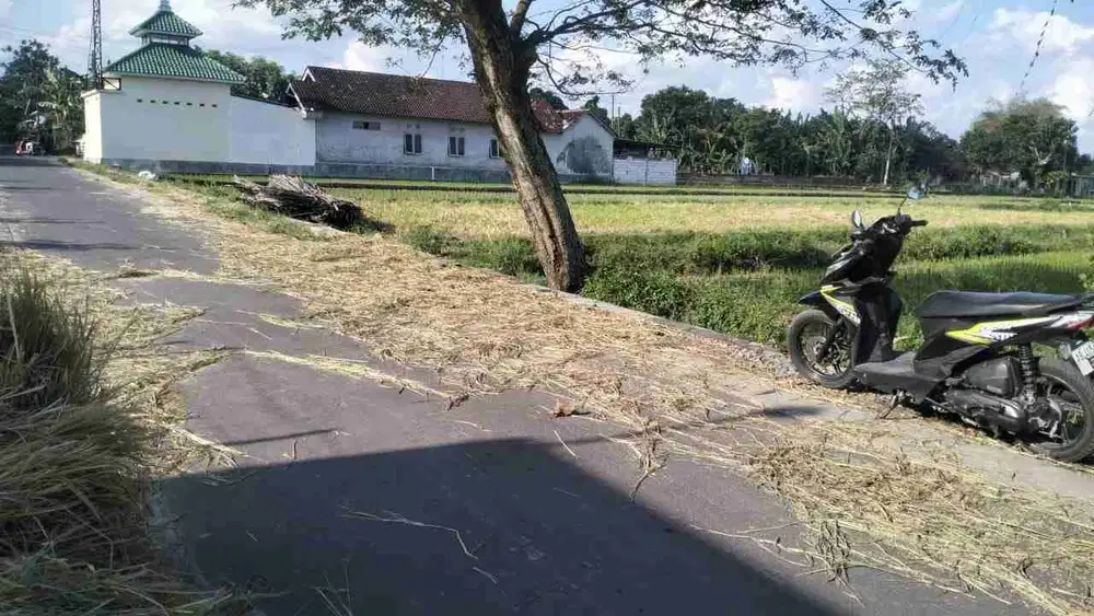 Dijual Sawah zona kuning di Prambanan dekat candi Prambanan