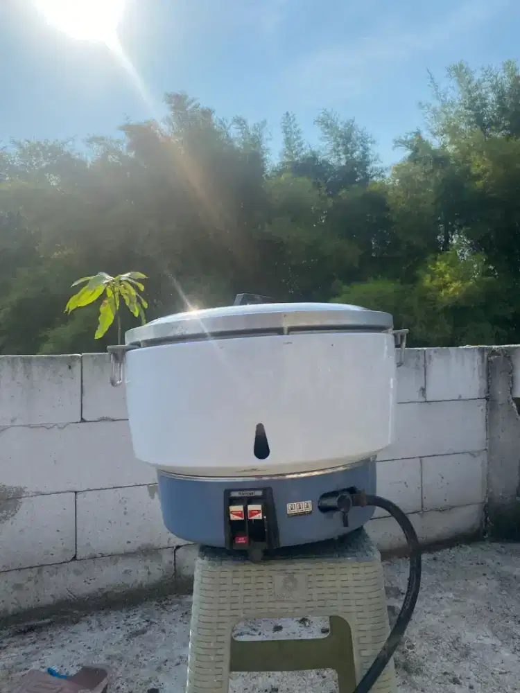 Gas Cooker Rinai RR50A (10 Liter)