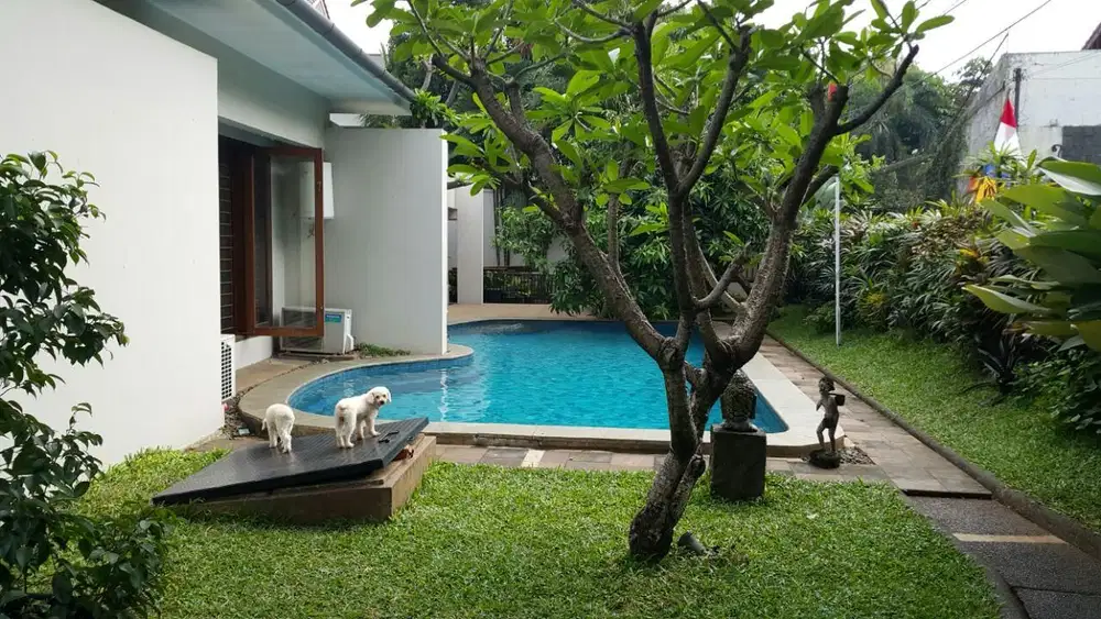 Rumah Bagus & Mewah Dijual Cepat, kawasan tenang di Jl. MPR Cilandak