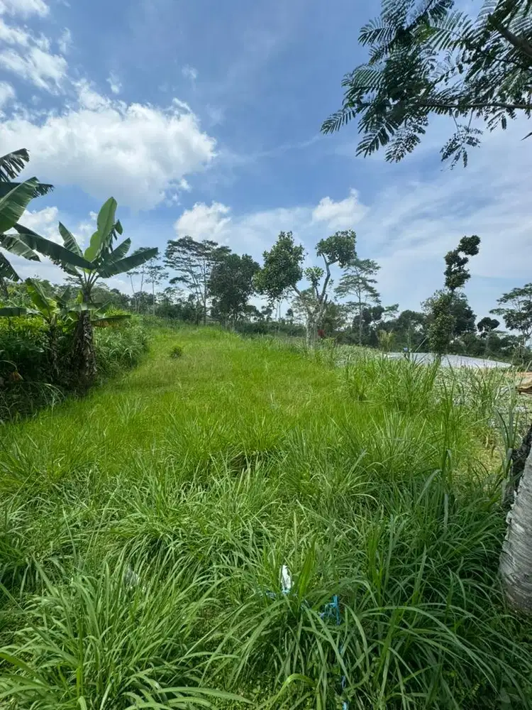 Disewakan tanah dekat ketep pass