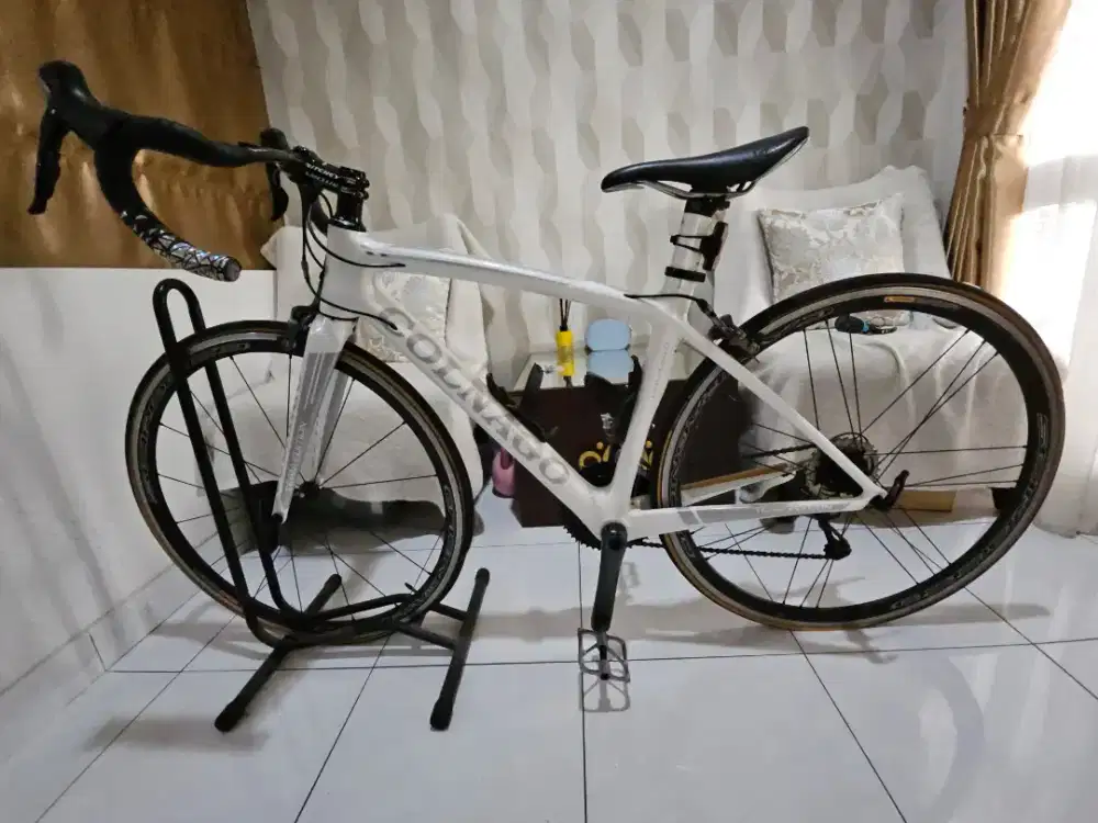 Roadbike Colnago CLD Team Edition Woman Geometry – Full Carbon