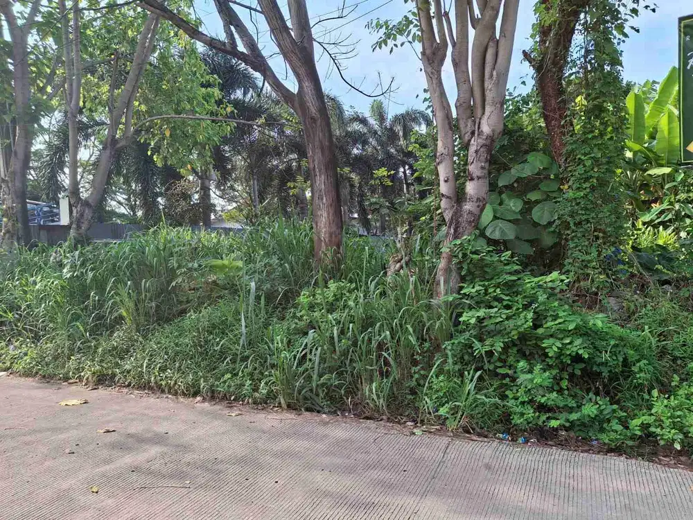 Dijual Tanah Darat Siap Bangun
Pondok Jagung