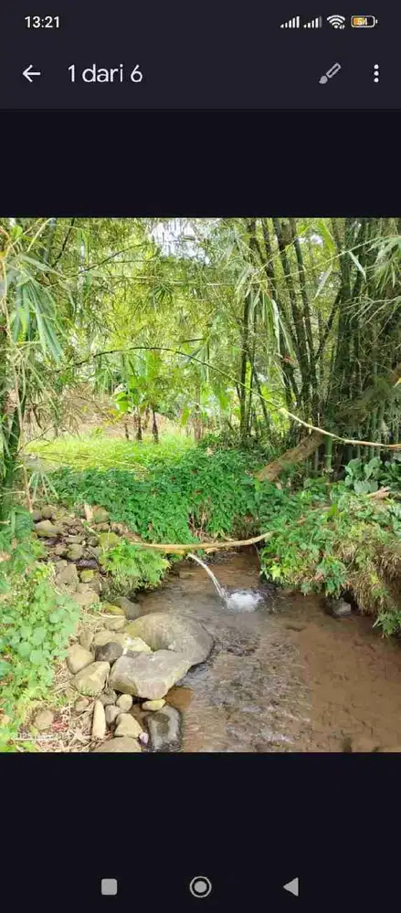 Lahan Subang 2.010 m², Cocok Rumah Kebun & Villa