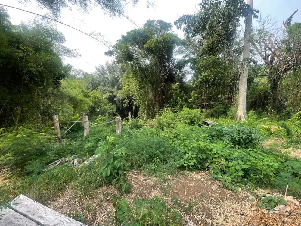 Tanah murah di kawasan villa sanur Denpasar bali