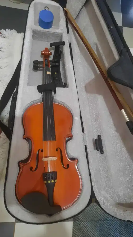 Biola Stainer size 1/4 (anak-anak)