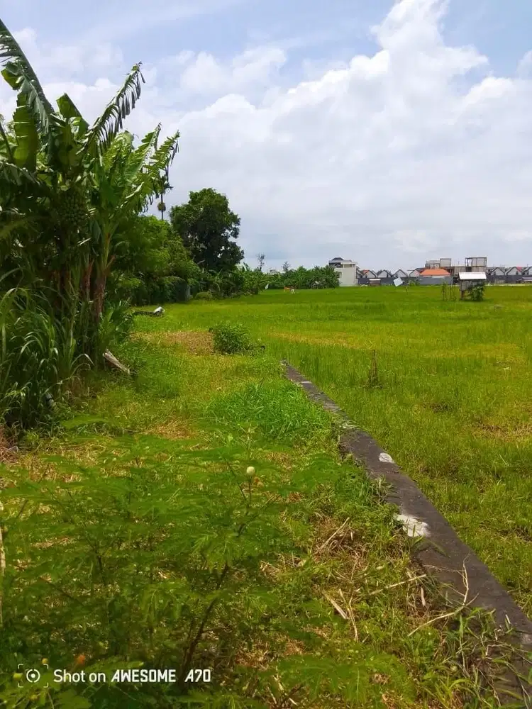 Tanah sewa 20 are di jalan kunti