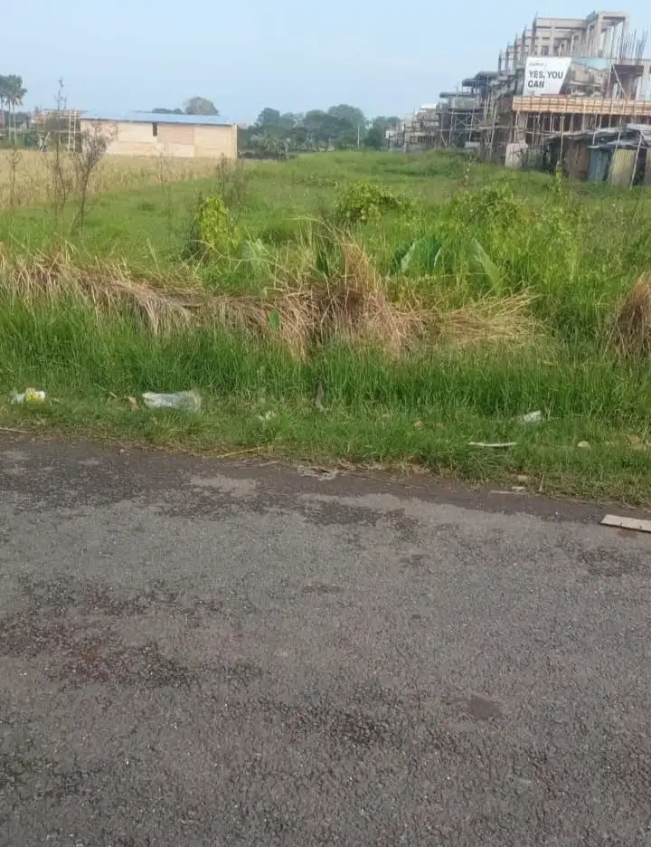 Tanah sewa 54,4 are di jalan Pantai Lima