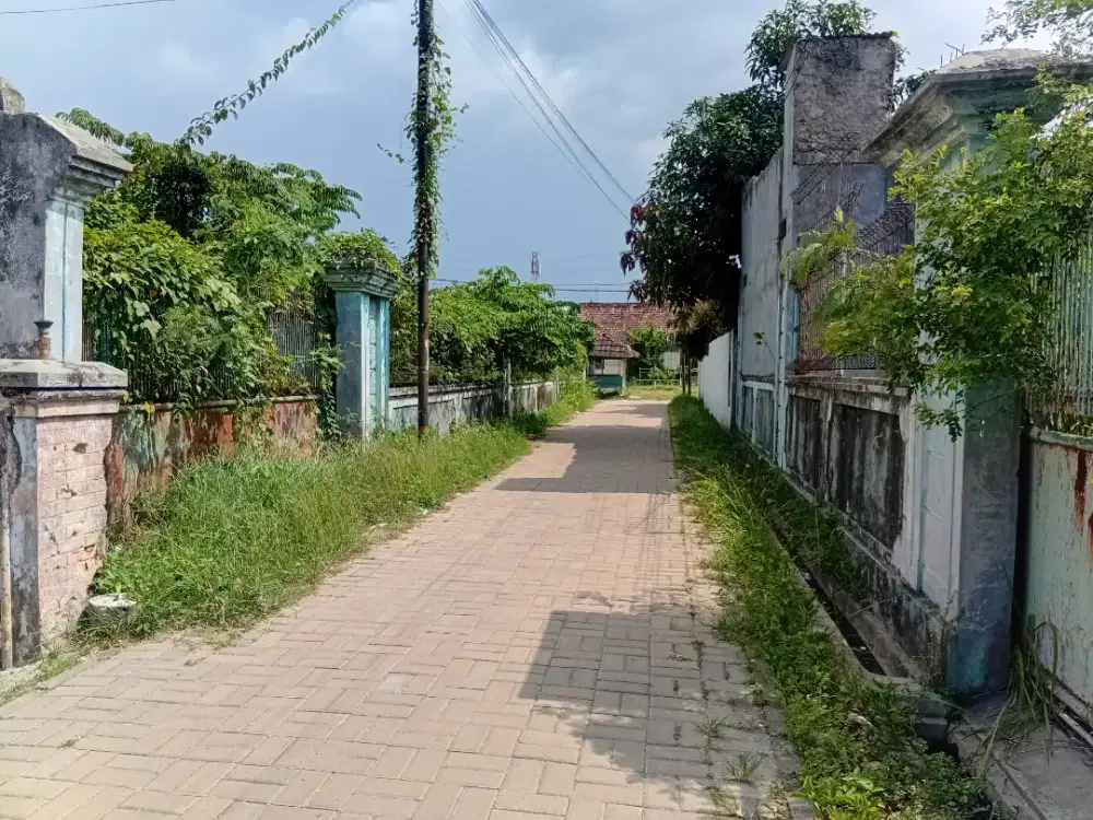 Tanah  dekat sekolah AL ijah unyur