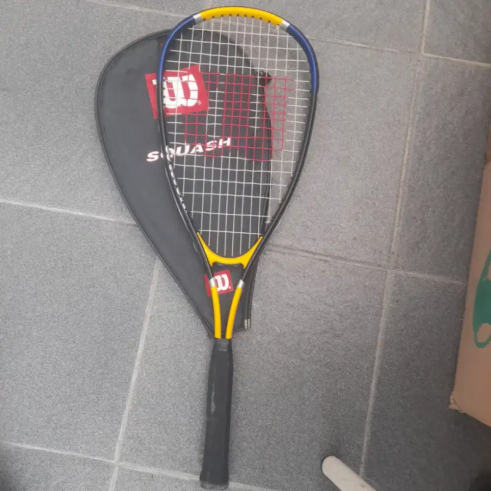 Raket squash wilson surge 24