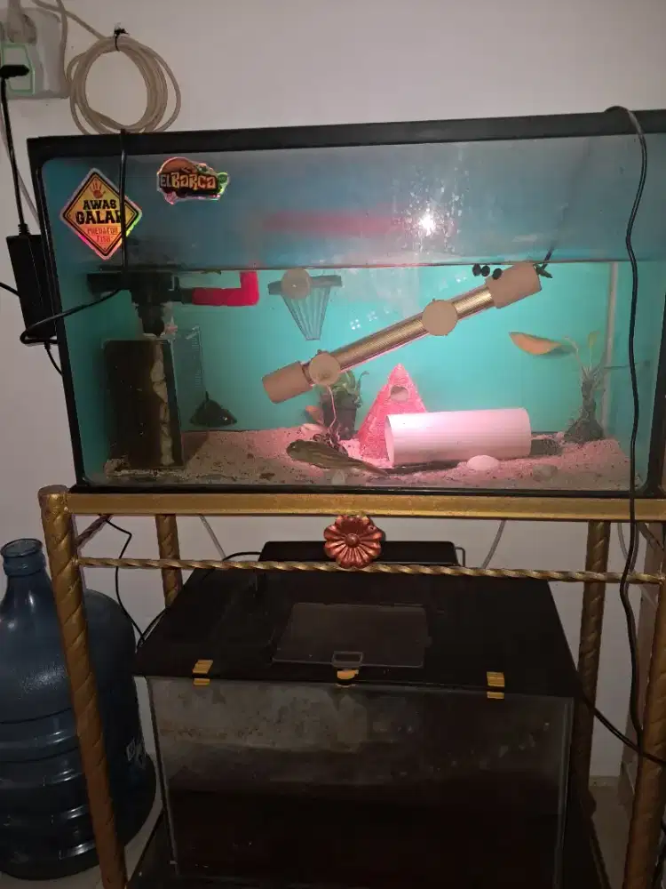 Akuarium 60 cm dan Meja Akuariumnya