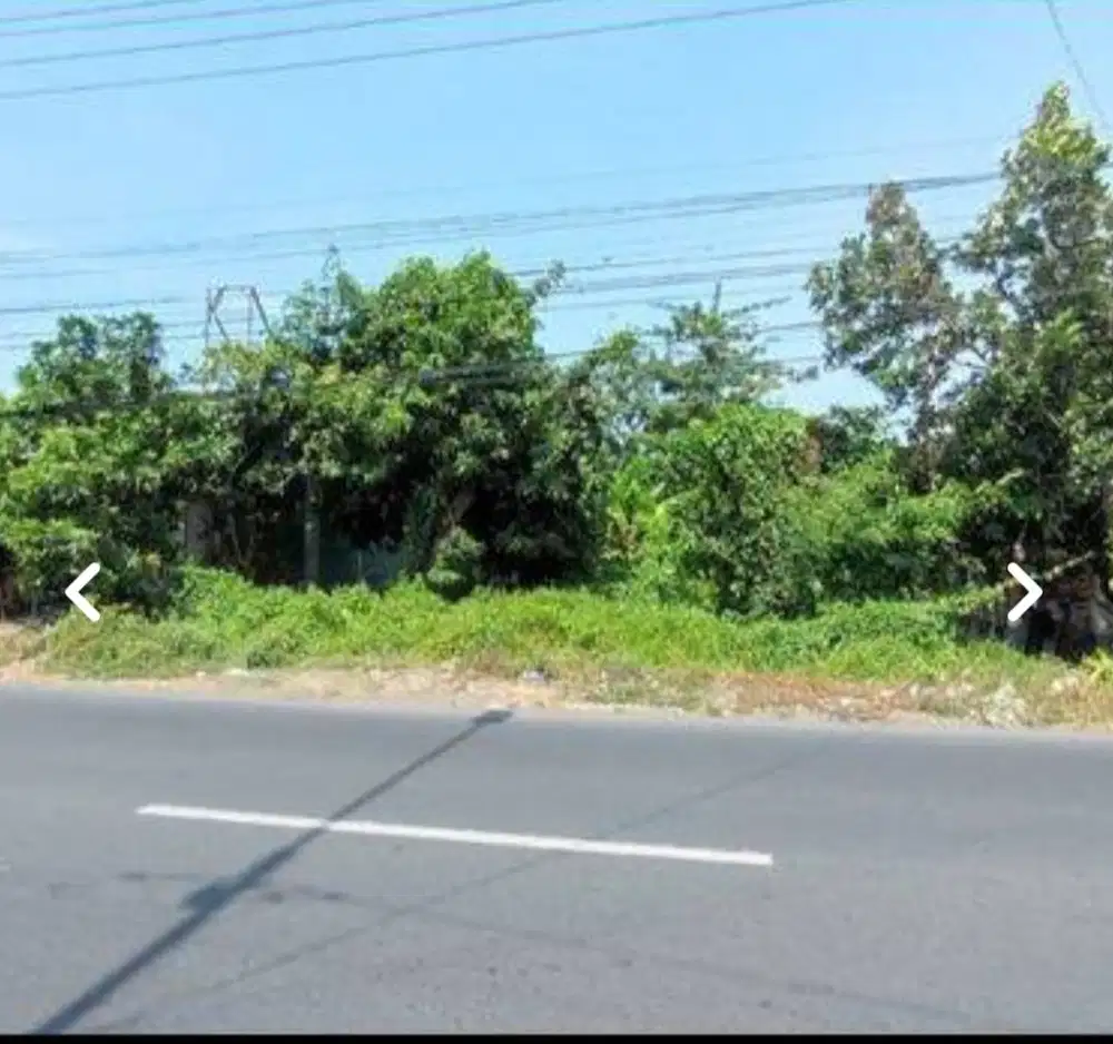 Jual tanah dengan harga terjangkau