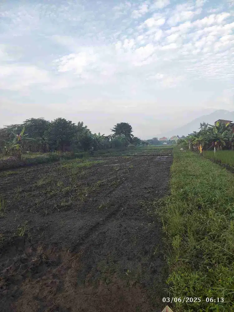 Lahan pertanian luas 5880 m2 harga 2,4 juta permeter di Kejapanan,Gempol,Pasuruan