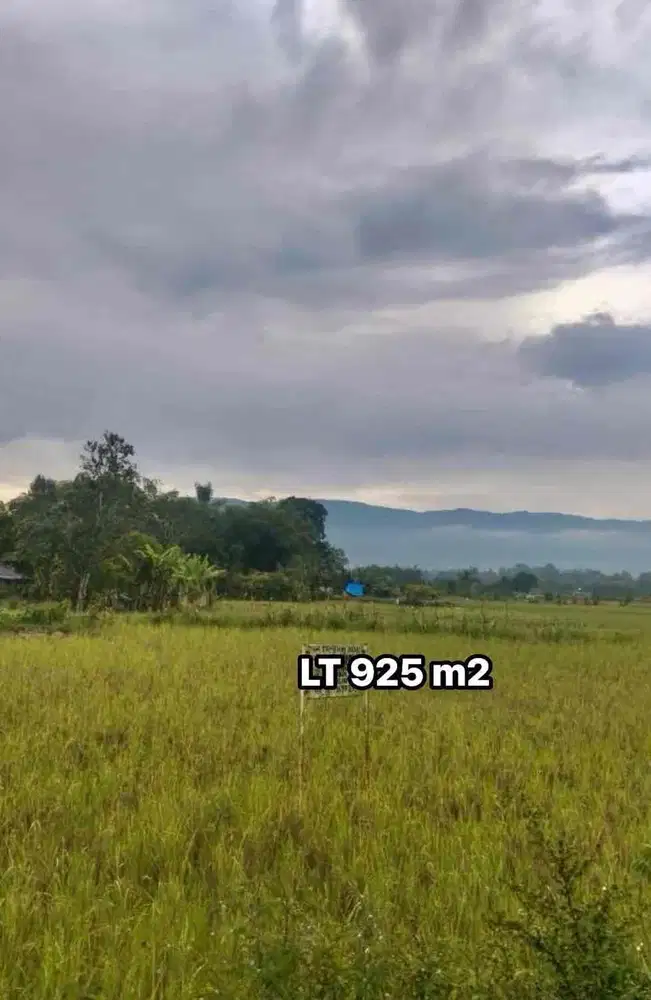 Tanah Siap Bangun Luas 925 M2 Sigumpar Toba Samosir