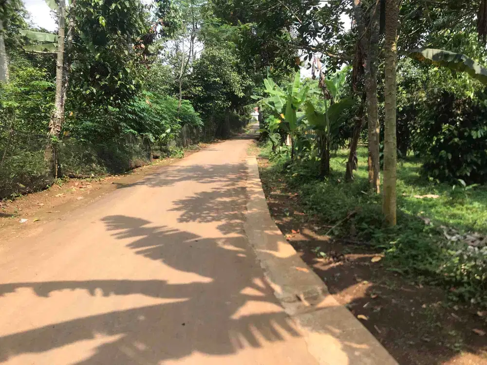 Di Jual Kebun,Dekat Penduduk