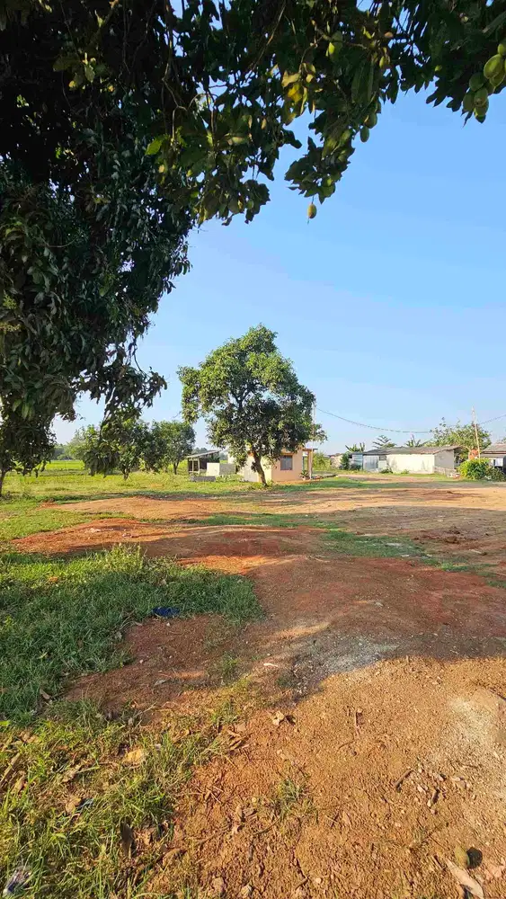 DIJUAL TANAH JALAN NASIONAL 1 PANTURA PAMANUKAN SUBANG, DEKAT DENGAN PELABUHAN PATIMBAN