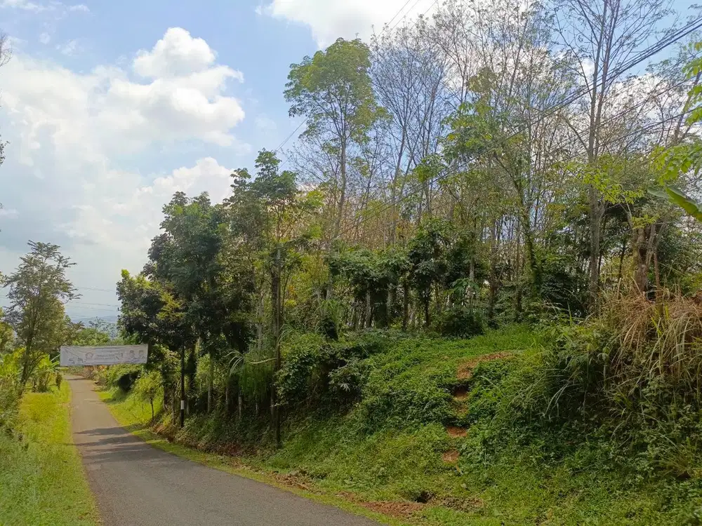 Tanah Kebun Karet Pinggir Jl Raya Nagrak Darangdan Purwakarta