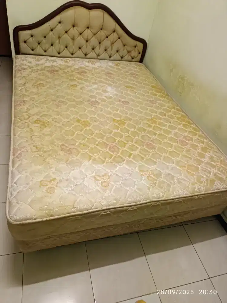 Spring bed Alga second