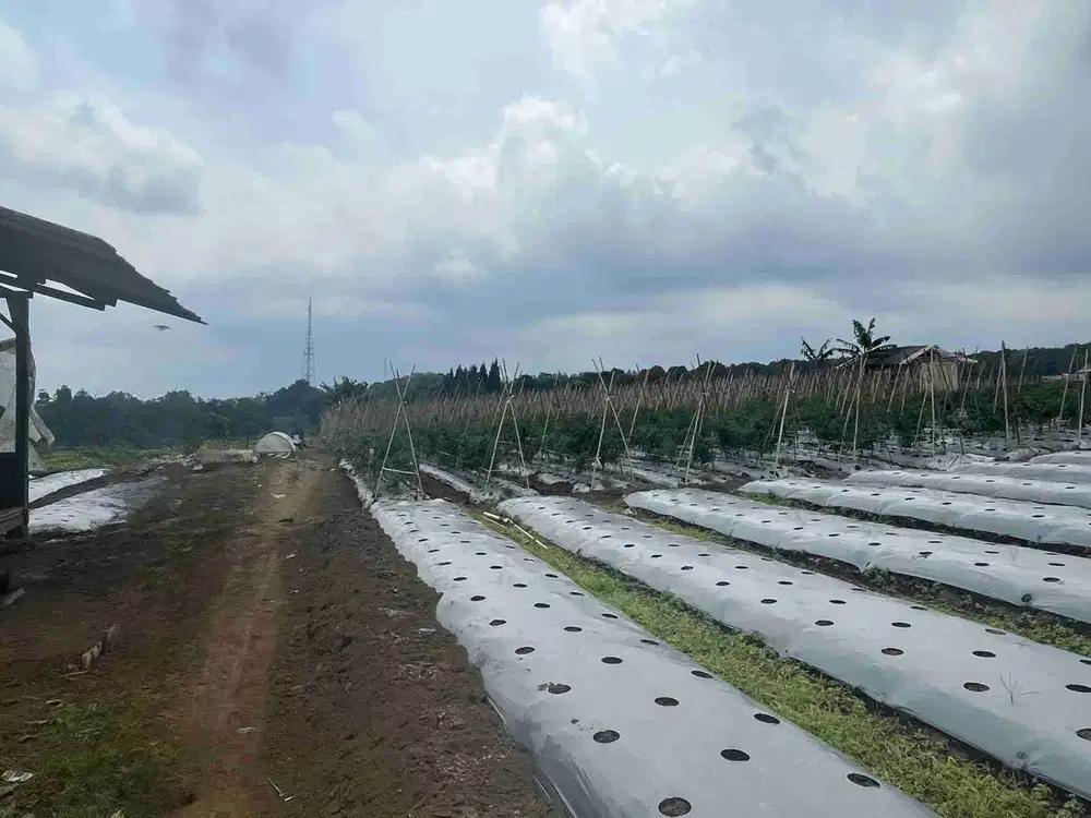 DIJUAL KAVLING TANAH 400.000 m2 SUKABUMI