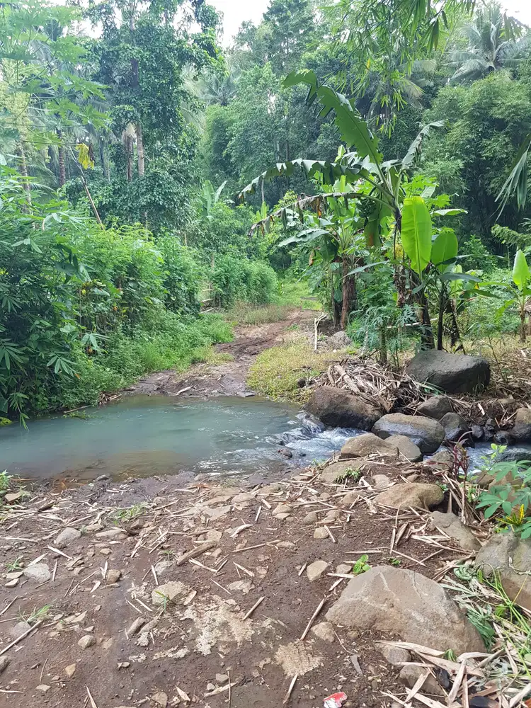 Dijual murah tanah di Koka dekat dengan Citraland the Amsterdam