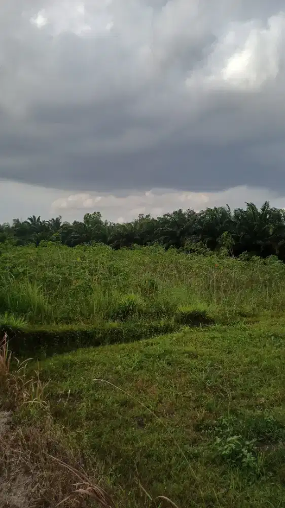 cari kerja an yg halal dan nyaman gajih kecil gk jdi masalah