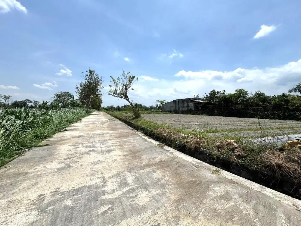 Jual Murah Tanah Pekarangan Sleman Utara, Siap Bangun