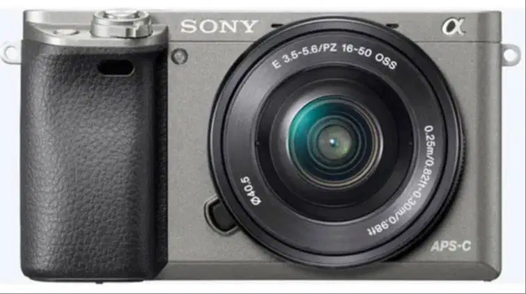 Sony Alpha a6000 Kit Lens 16-50mm Graphite Grey + Sony Body Case LCS-E