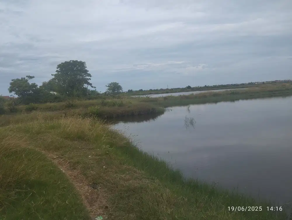 Dijual Tanah Zona Pemukiman, Kecamatan Indramayu kota, Luas 10.000 meter persegi, murah Rp 90 ribu permeter