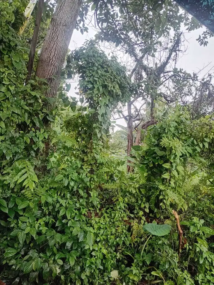 JUAL TANAH DI KOMPLEK PASPAMRES CIKARET