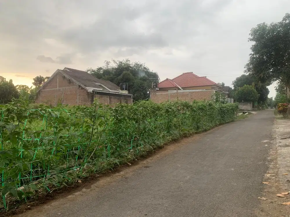 DIBAWAH HARGA PASAR 16 KAVLING SIAP BANGUN SUDAH SHM PER KAVLING HANYA 3 MENIT DARI KANKAB DI SAWENTAR KANIGORO BLITAR