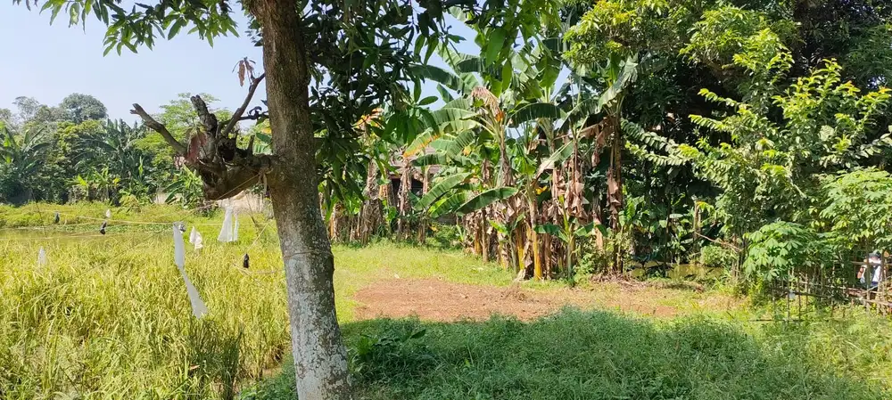 Tanah Di Pinggir Jalan Raya Dekat Telkom STO Cocok Untuk Investasi Di Daerah Ciseeng