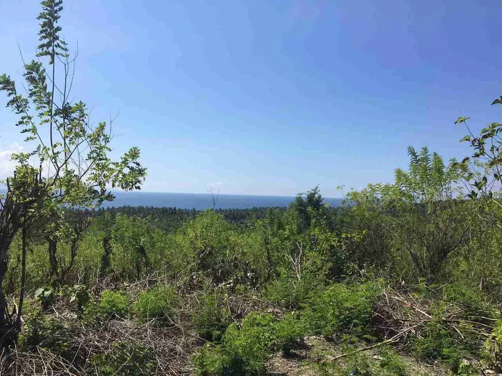 di lepas super cepat tanah di ped nusa penida dengan view laut