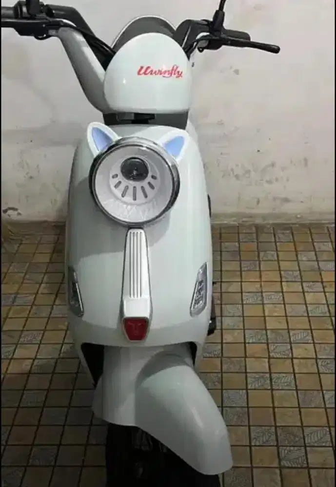 Sepeda listrik Uwinfly T60